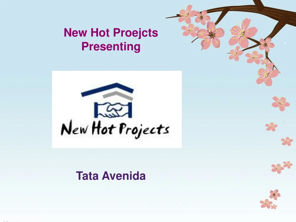 new hot proejcts presenting