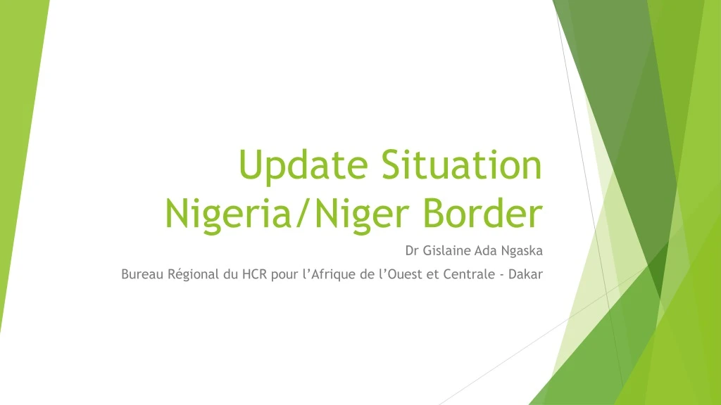 update situation nigeria niger border