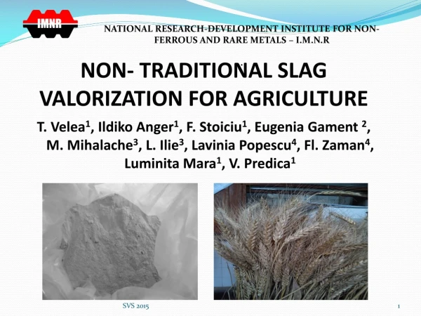 NON- TRADITIONAL SLAG VALORIZATION FOR AGRICULTURE