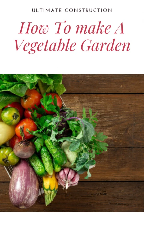 How To Plan a Vegetable Garden?