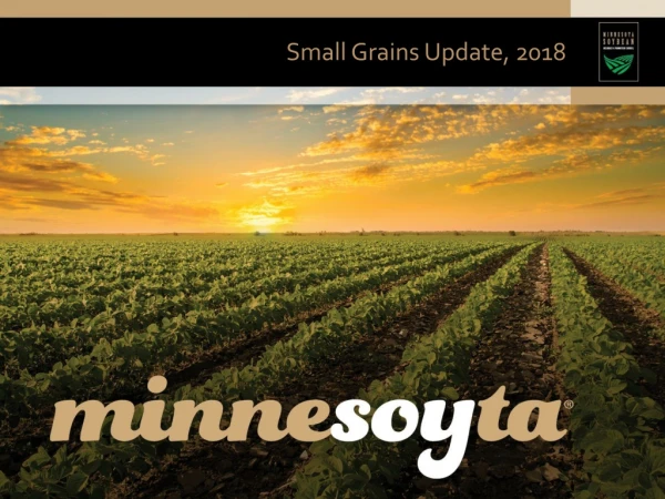 Small Grains Update, 2018