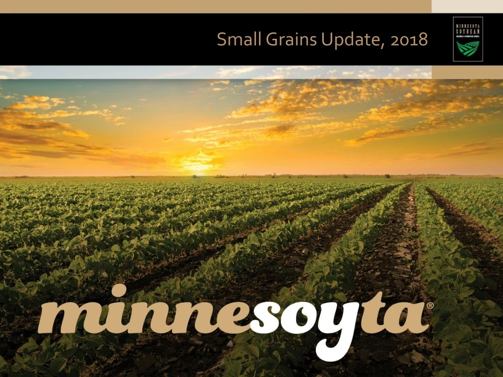 small grains update 2018