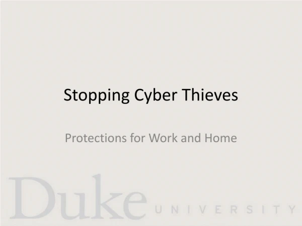 Stopping Cyber Thieves