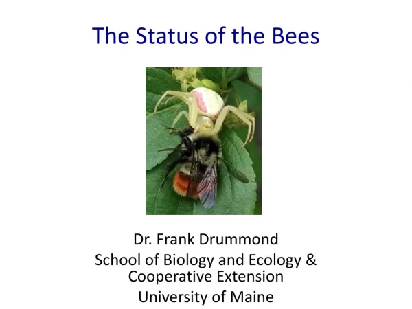 The Status of the Bees