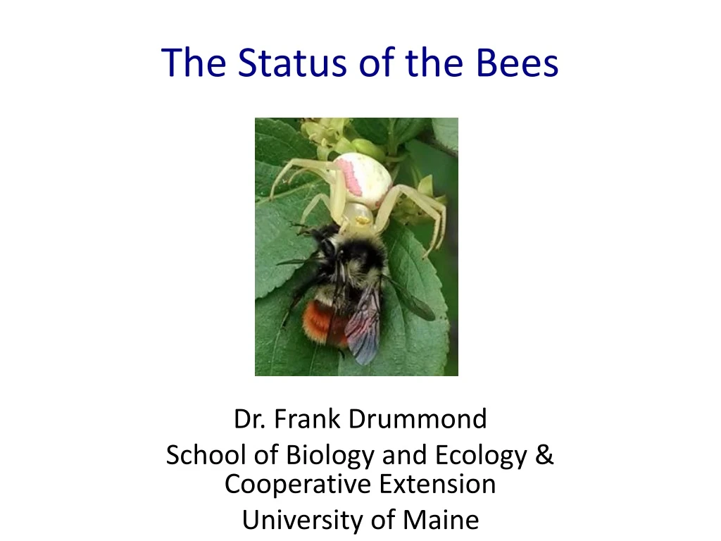 the status of the bees