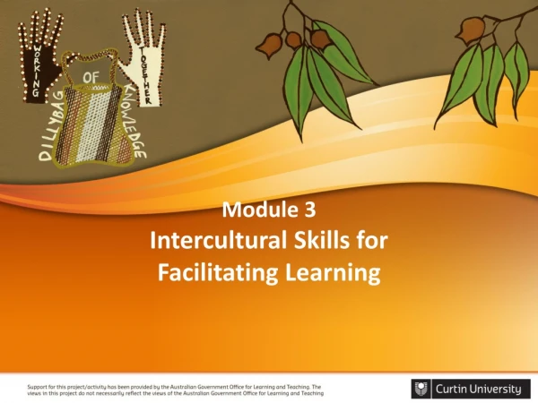 Module 3 Intercultural Skills for Facilitating Learning