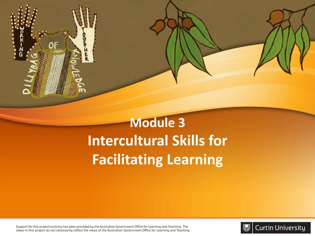 module 3 intercultural skills for facilitating learning