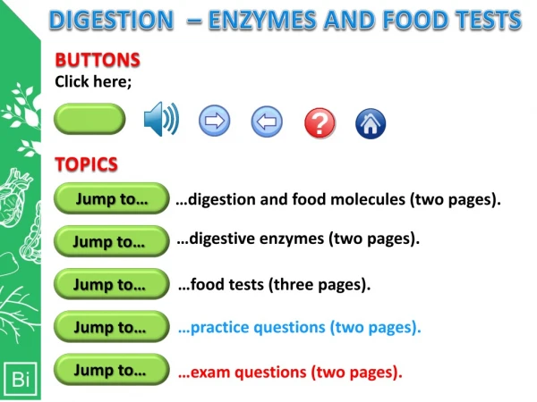 DIGESTION – ENZYMES AND FOOD TESTS