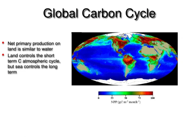 Net primary production on land is similar to water