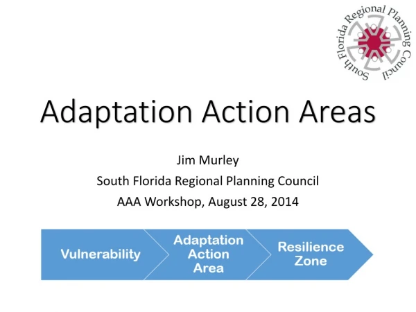 Adaptation Action Areas