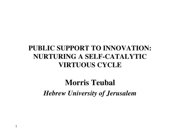 PUBLIC SUPPORT TO INNOVATION: NURTURING A SELF-CATALYTIC VIRTUOUS CYCLE