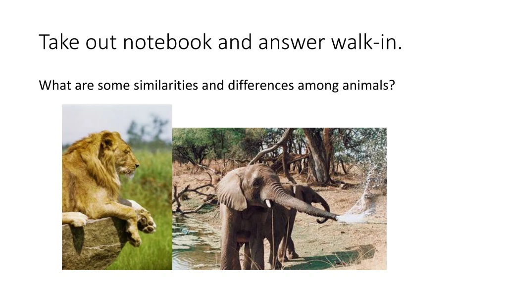 take out notebook and answer walk in