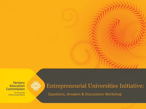 Entrepreneurial Universities Initiative: