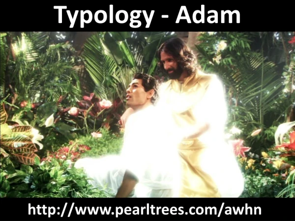 Typology - Adam