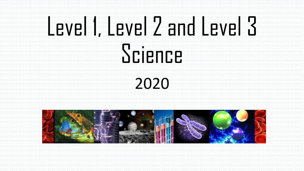 level 1 level 2 and level 3 science