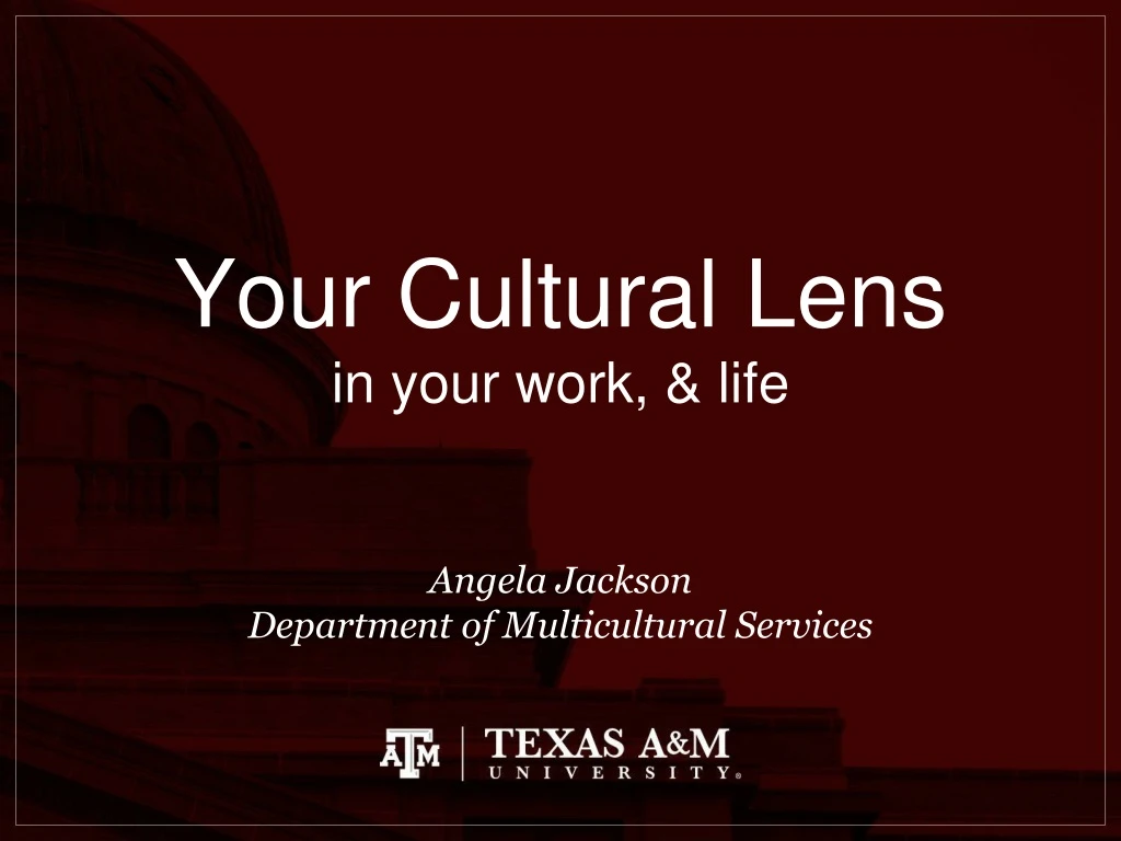 your cultural lens in your work life