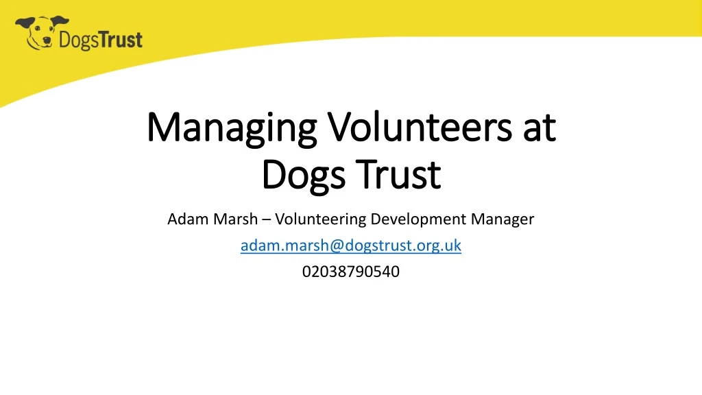 managing volunteers at dogs trust
