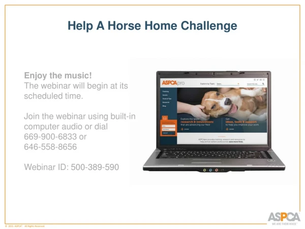 Help A Horse Home Challenge