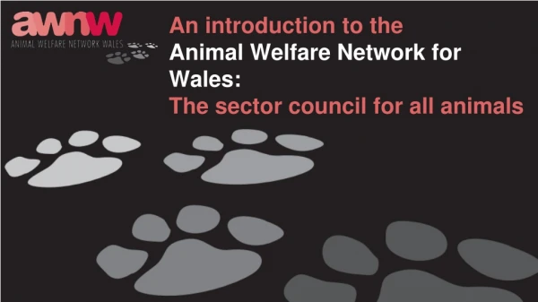 An introduction to the Animal Welfare Network for Wales: The sector council for all animals