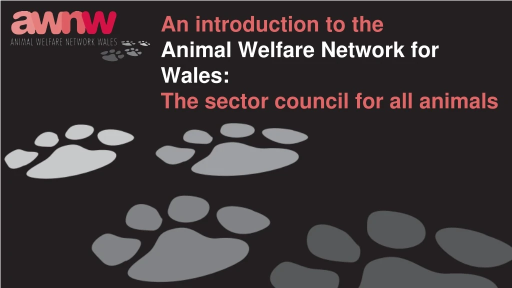 an introduction to the animal welfare network