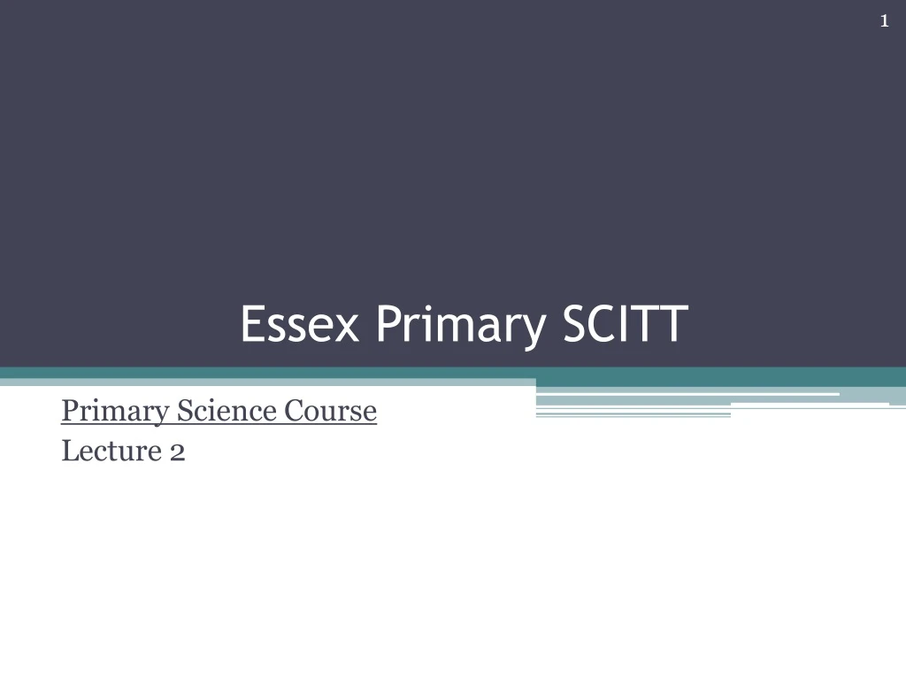 essex primary scitt