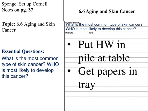 Sponge: Set up Cornell Notes on pg. 37 Topic: 6.6 Aging and Skin C ancer Essential Questions: