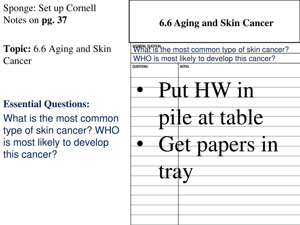 6 6 aging and skin cancer