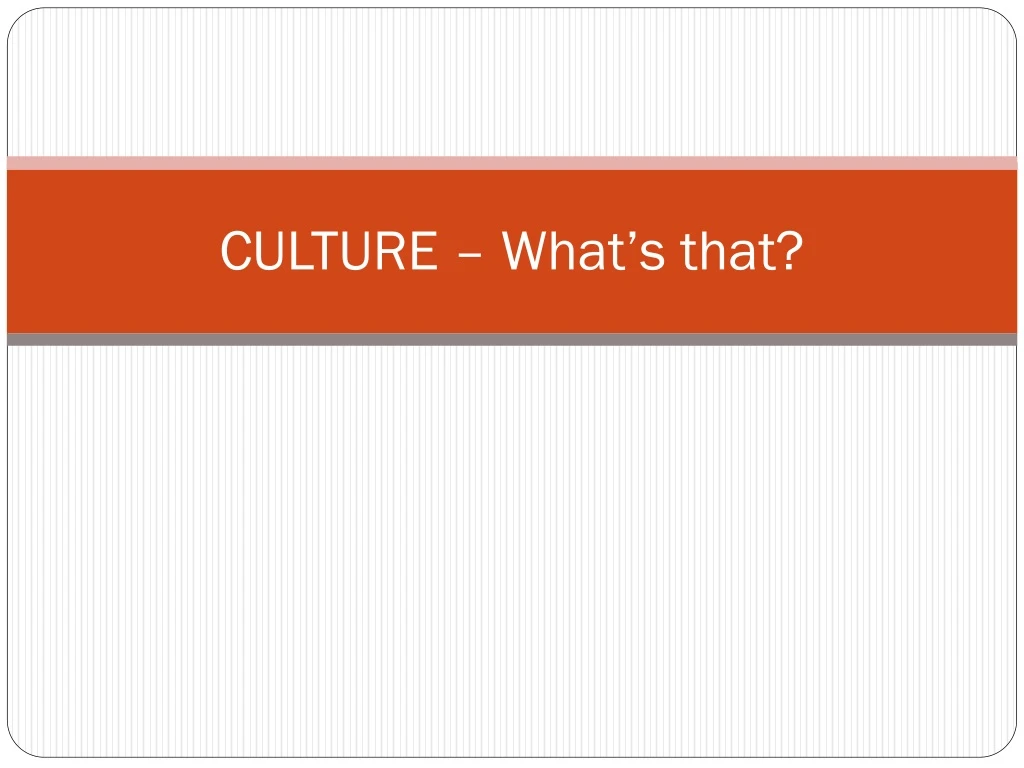 culture what s that