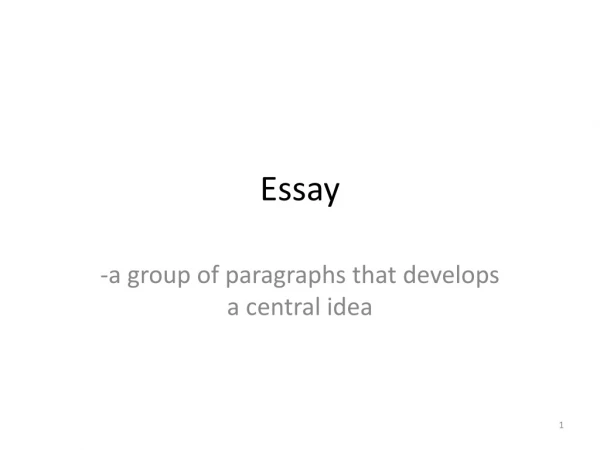 Essay