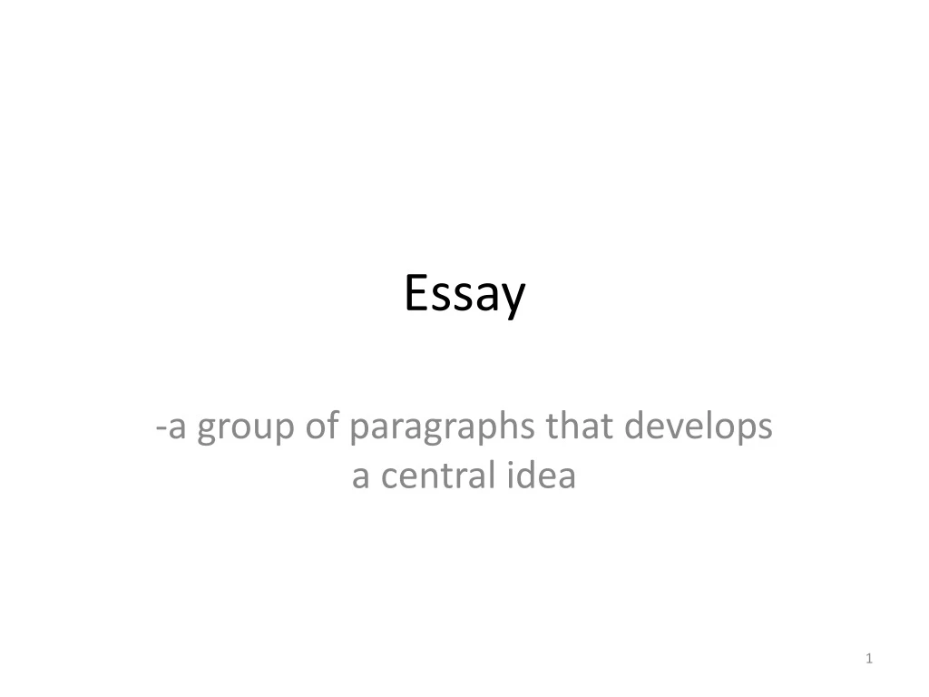 essay