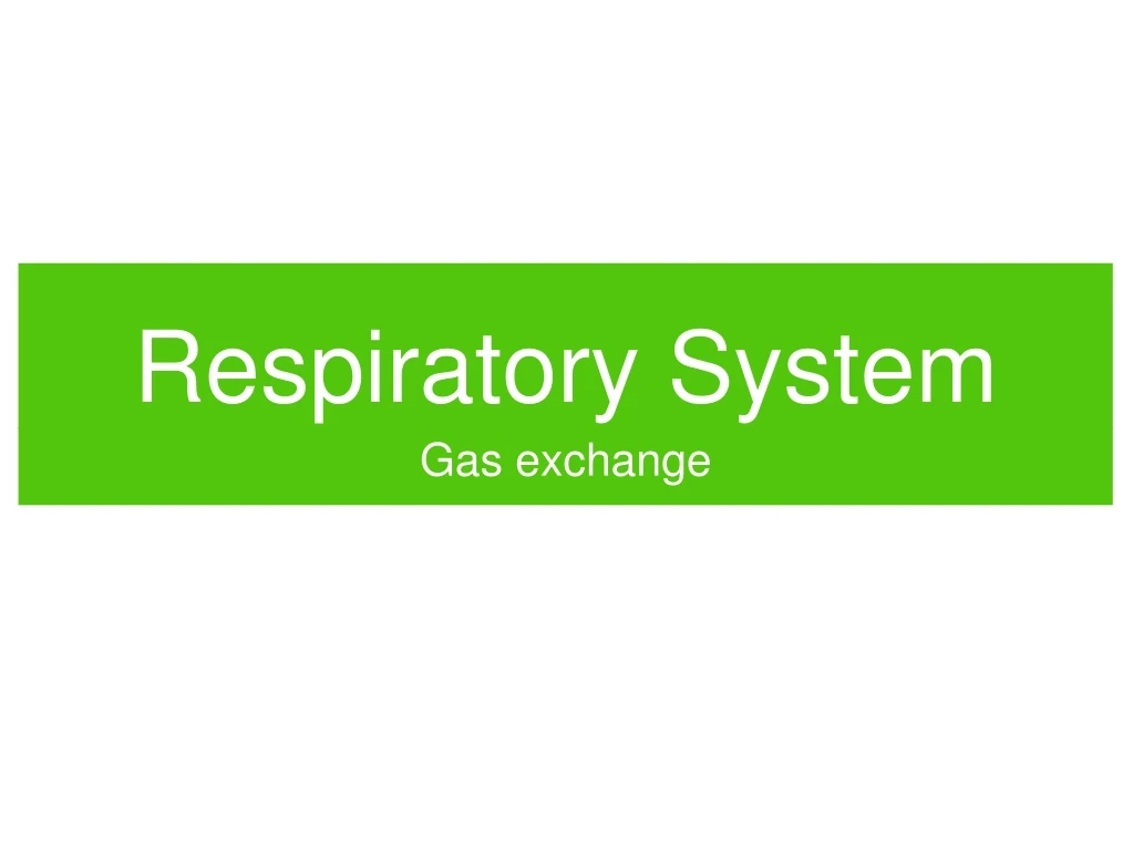 respiratory system