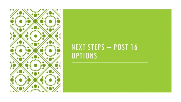 Next steps – post 16 options