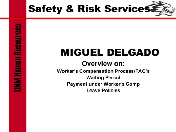 Safety &amp; Risk Services