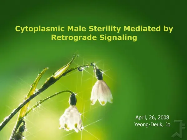 Cytoplasmic Male Sterility Mediated by Retrograde Signaling
