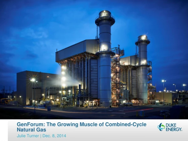 GenForum : The Growing Muscle of Combined-Cycle Natural Gas