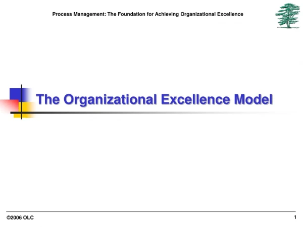 The Organizational Excellence Model