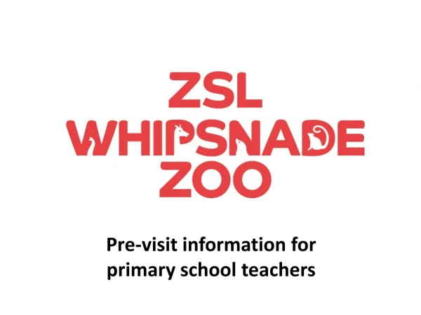 Pre-visit information for primary school teachers