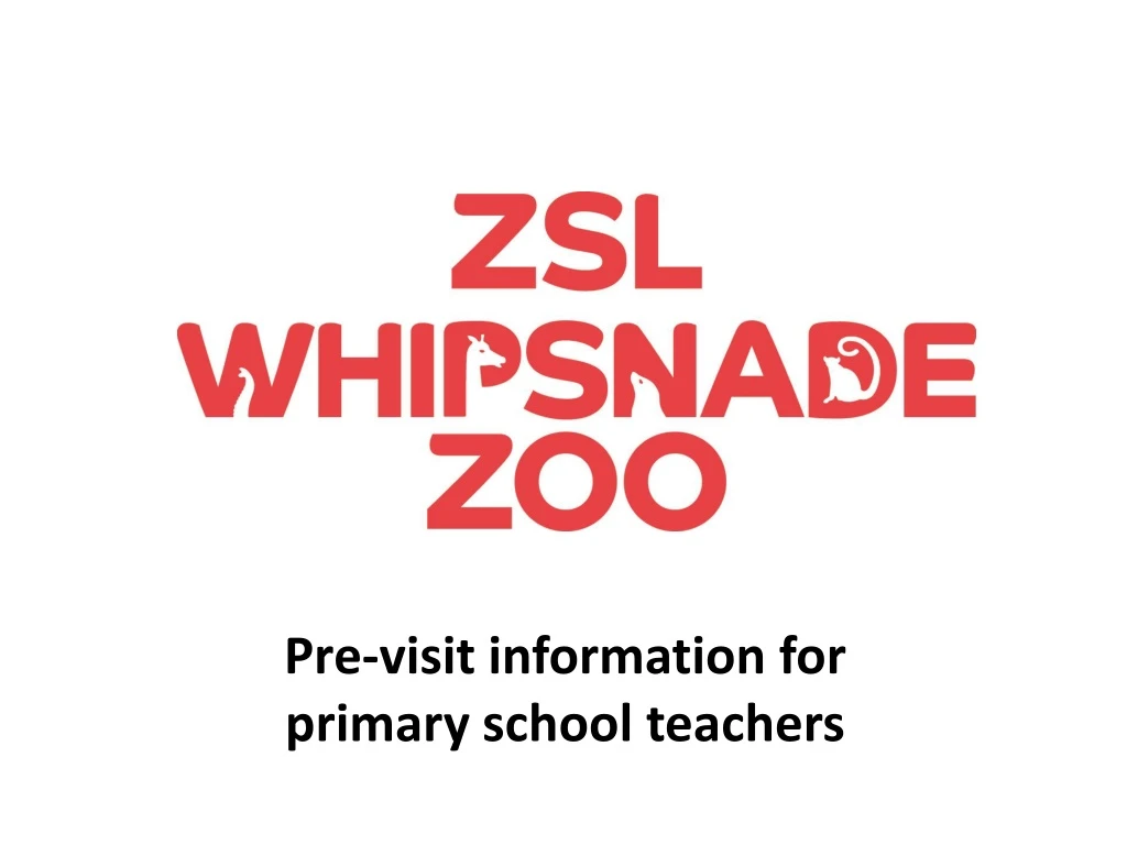pre visit information for primary school teachers