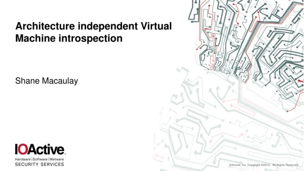 Architecture independent Virtual Machine introspection