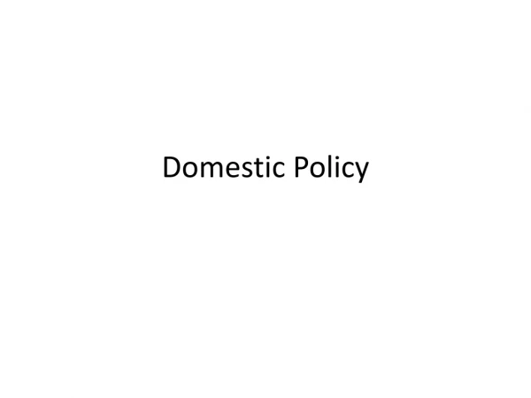 Domestic Policy