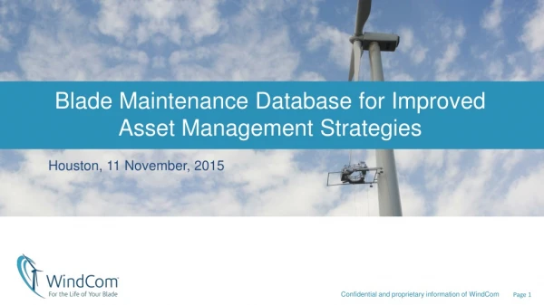 Blade Maintenance Database for Improved Asset Management Strategies Houston, 11 November, 2015