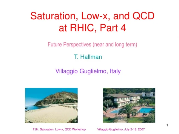 Saturation, Low-x, and QCD at RHIC, Part 4 Future Perspectives (near and long term)