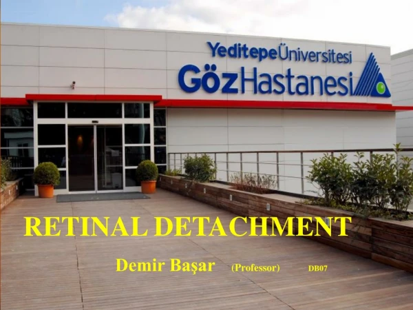 RETINAL DETACHMENT Demir Başar (Professor) DB07