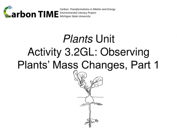 Plants Unit Activity 3.2GL: Observing Plants’ Mass Changes, Part 1