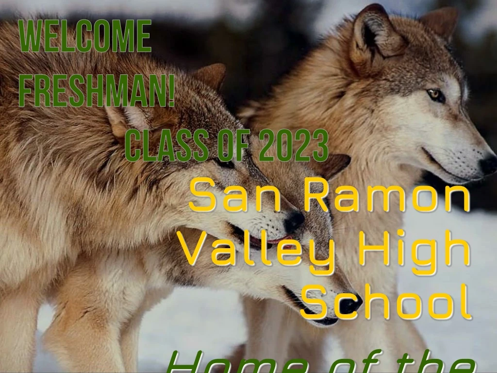 san ramon valley high school home of the wolves