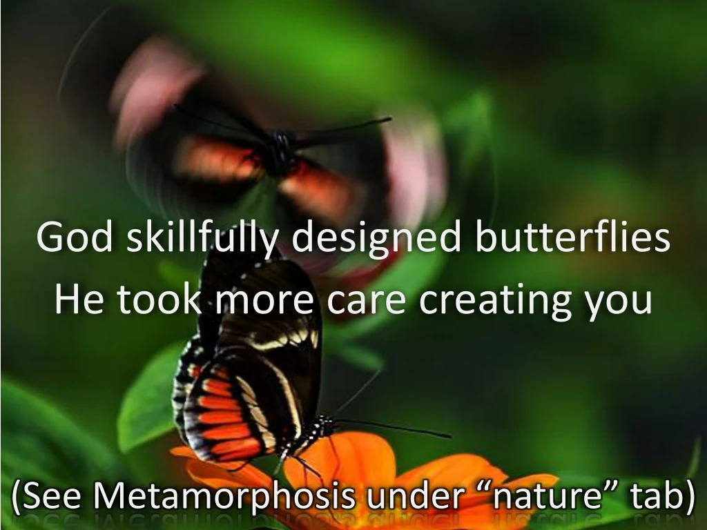 god skillfully designed butterflies he took more care creating you