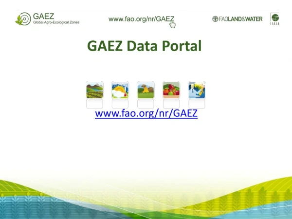 GAEZ Data Portal