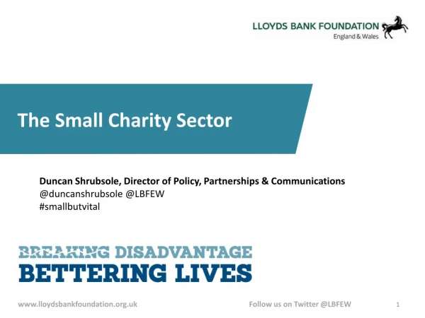 The Small Charity Sector