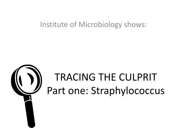 TRACING THE CULPRIT Part one: Straphylococcus