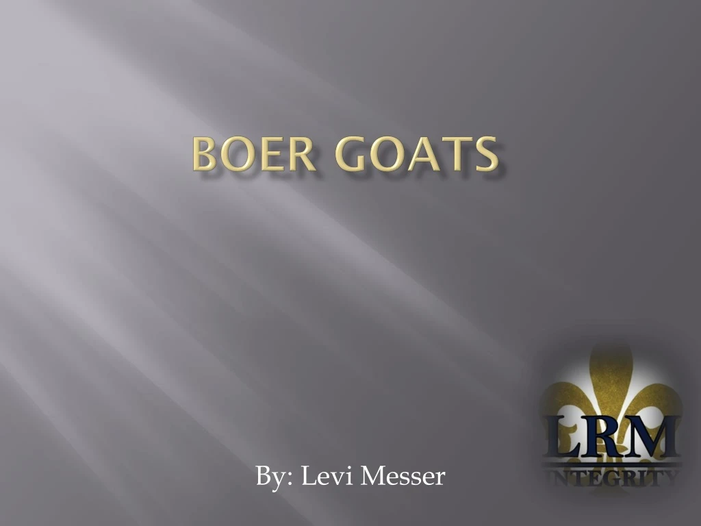 boer goats